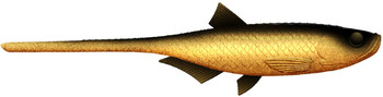 Przynęta gumowa Libra Bleak Slug Tail