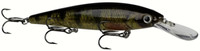 Yellow Perch