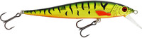 Firetiger Flash