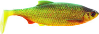 Firetiger Rudd