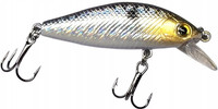 Black Perch