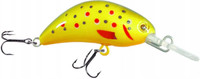 Trout