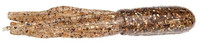 Golden Shiner