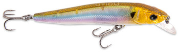Wobler IC DOIYO Independent Swim