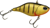 Matt Perch