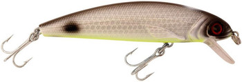 Wobler Abu Garcia Tormentor