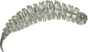 Guma spinningowa QubiLures Liszaj Bigfatsnail