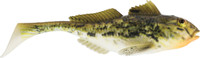 Spotted Goby