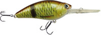Crucian