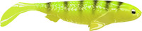 Yellow Perch