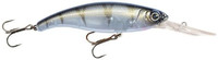 UV Striped Shiner