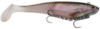Rainbow Trout