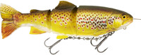 Real Trout