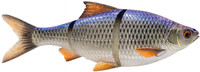 Blue ROACH