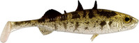 Stickleback