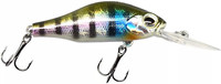 Black Perch
