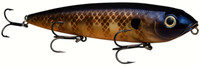 Bluegill