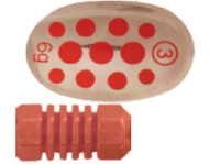 31