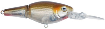 Wobler Konger Jointed Roach