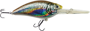 Wobler Robinson Finder F60