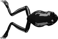 Czarny