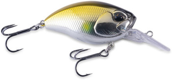 Wobler Doiyo Kobito 48 Shudan