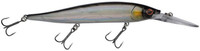 Baitfish