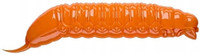 Hot Orange