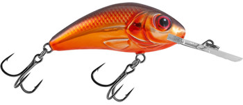 Wobler Salmo Rattlin Hornet F