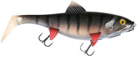 UV Young Perch