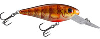 Brown Perch