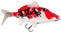 Koi Carp