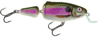 Spot Bait