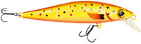 Trout