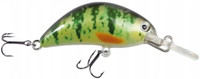 Perch