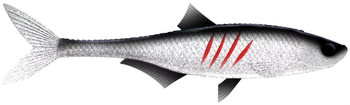 Przynęta gumowa Libra Dead Fish