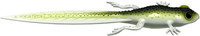 Olive Whitefish
