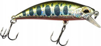 River Trout