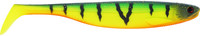 Tiger Perch