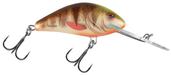 Wobler Salmo Hornet F