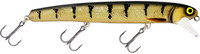 3D Amber Perch