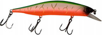 Orangetiger
