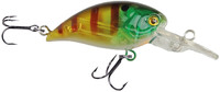 Troutansparent Perchrch