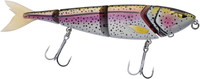 Rainbow Trout