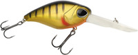 Matt Perch