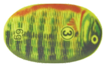 Obrotówka Mistrall Style