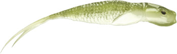 Guma spinningowa QubiLures Syrena Vert