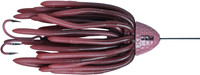 Brown Worm