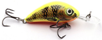 Wobler Salmo Hornet F