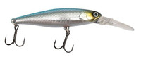 Sardine